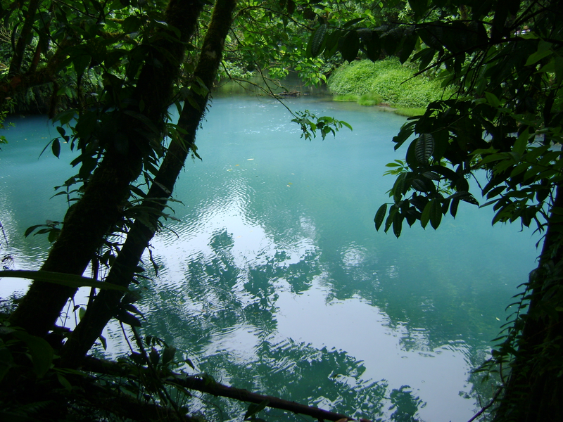 Imagen: Wikimedia Commons